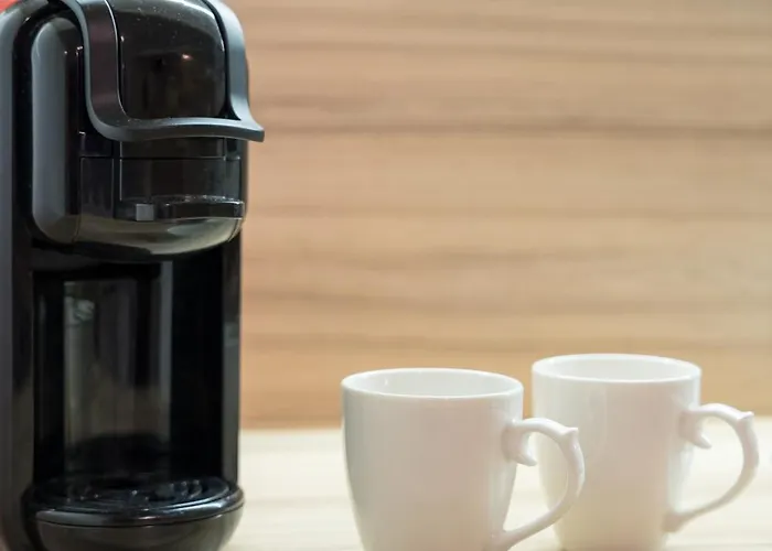 The Flat Downtown Apartment